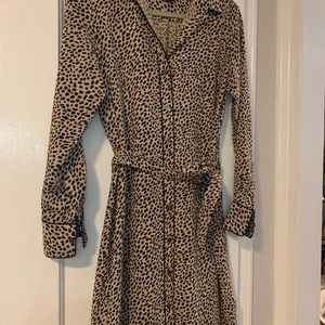 Ann Taylor Shirtdress